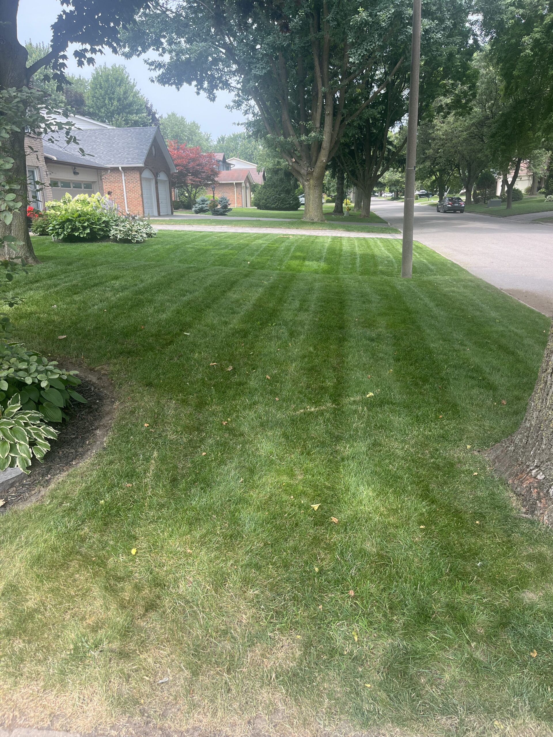 Spring & fall cleanups Markham