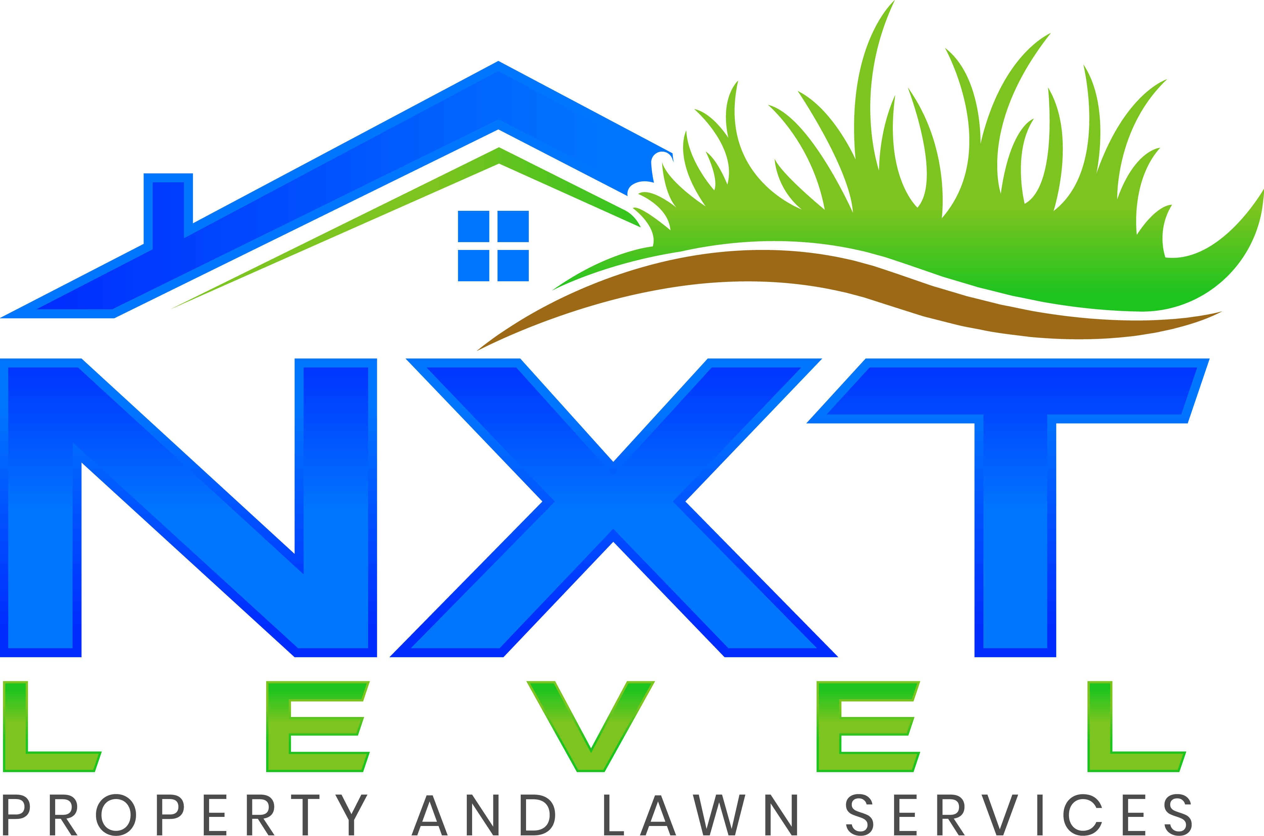 NXT Level logo