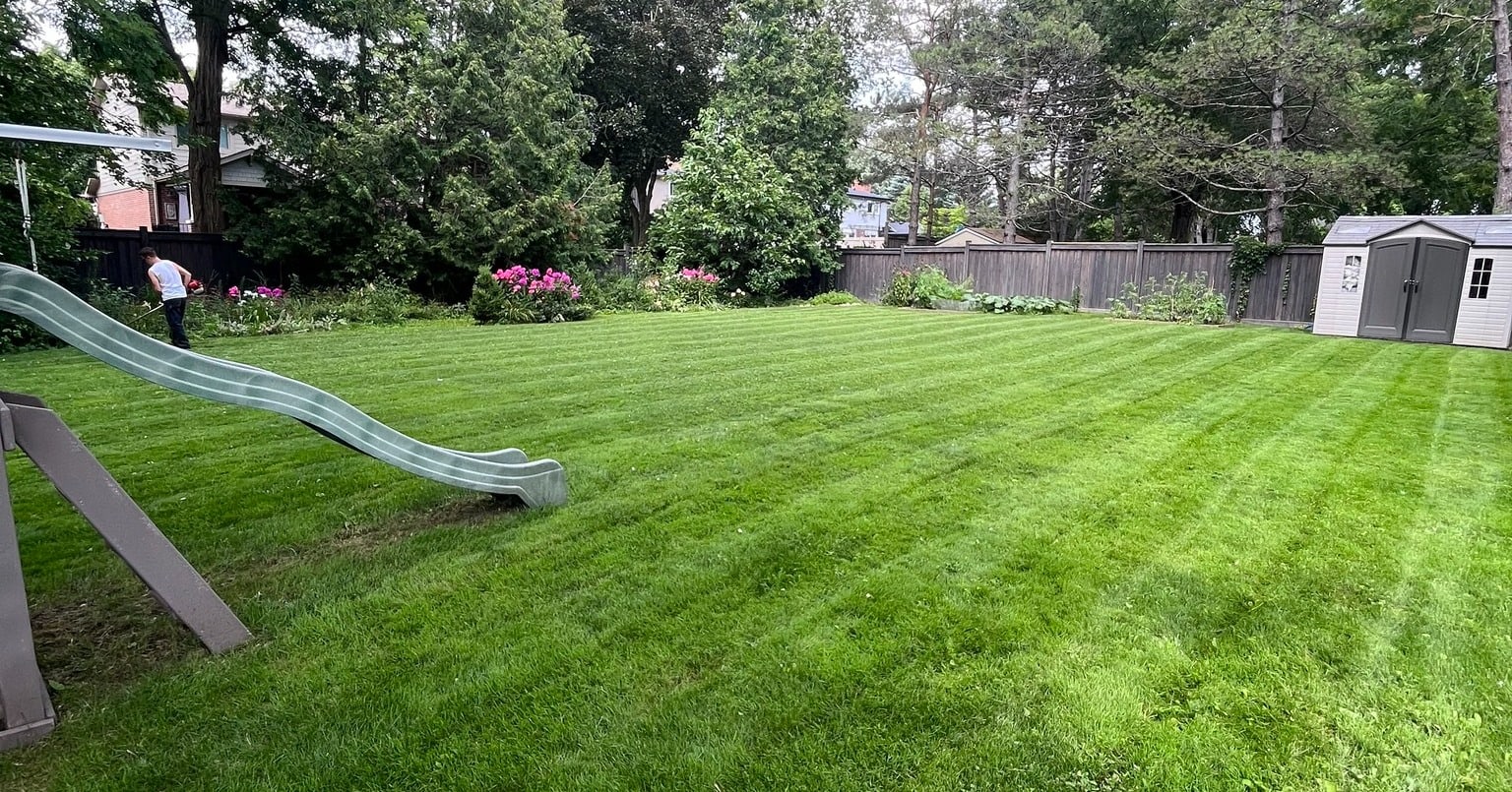 Lawn and landscape — hero 2