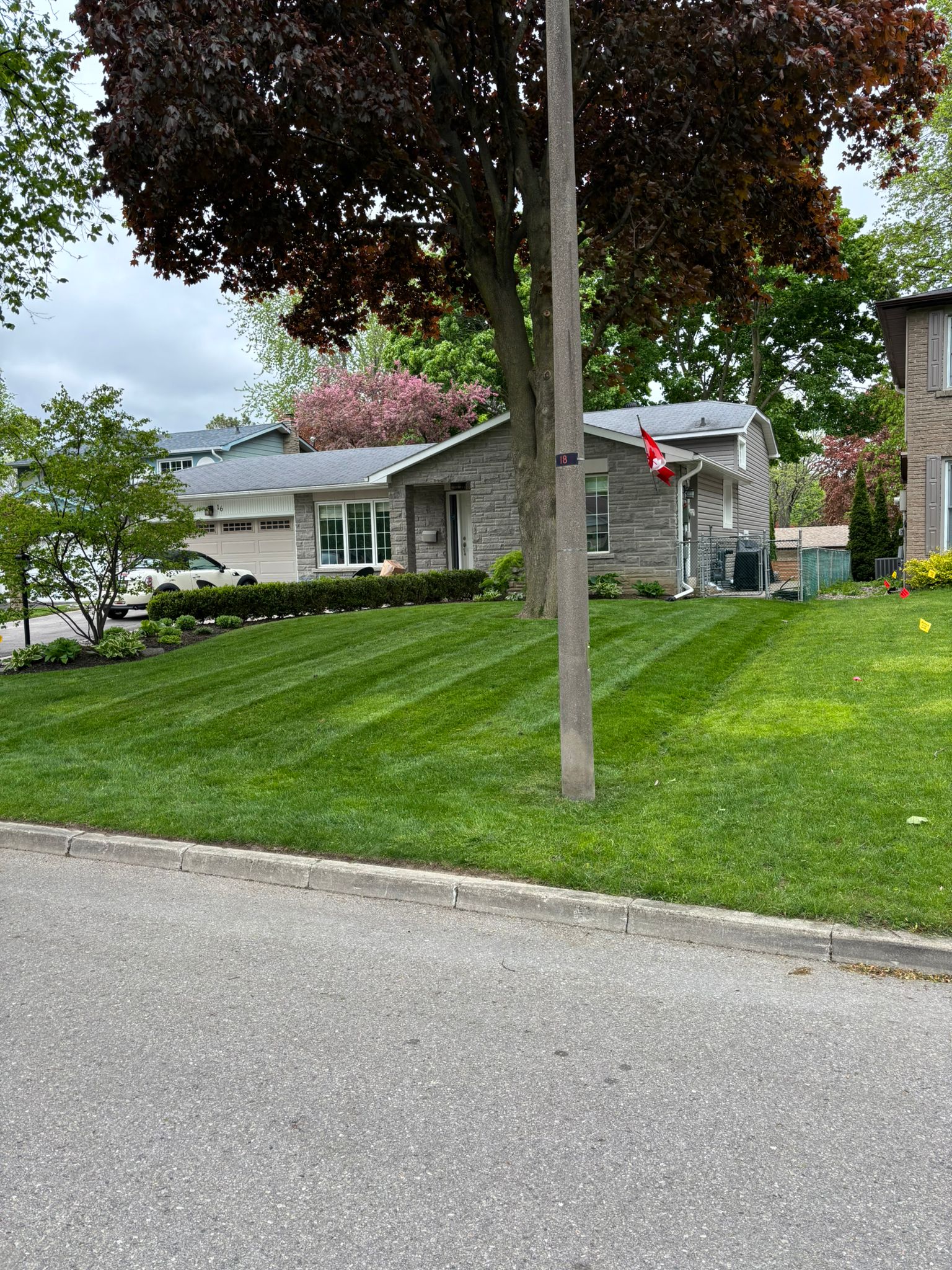 Top soil & lawn levelling Markham