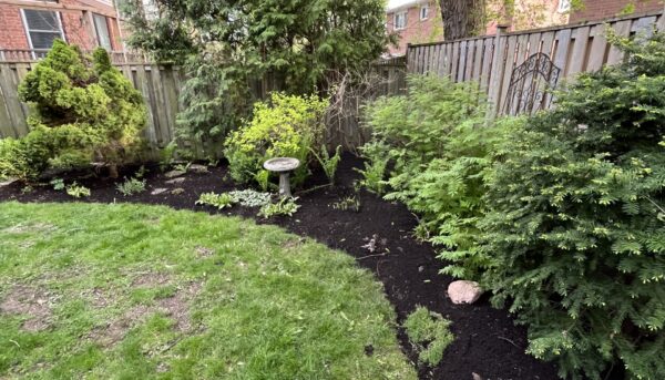 Landscaping Markham