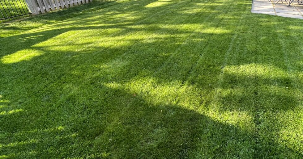 Lawn care for seniors near me