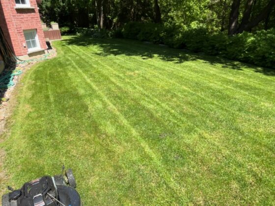 grass cutting service Markham