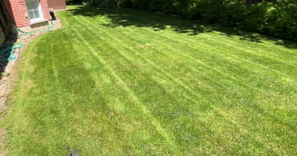 grass cutting service Markham